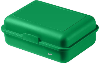 Zelený plastový větší svačinový box